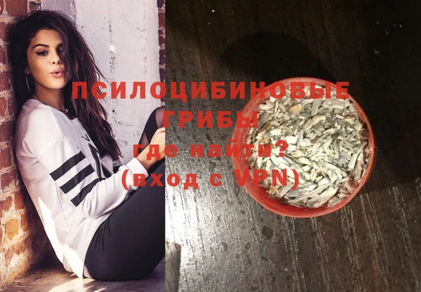 ПСИЛОЦИБИНОВЫЕ ГРИБЫ Абдулино