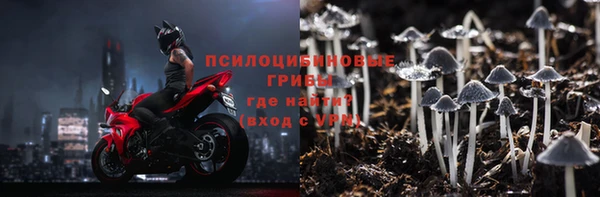 хмурый Алексин