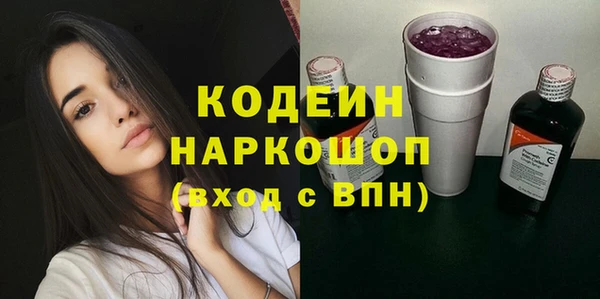 хмурый Алексин