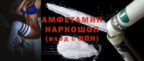 хмурый Алексин